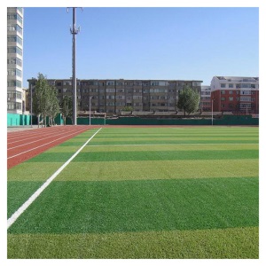 小学中学大学专业5人制7人制11人制FIFA私人足球场草坪50草50mm