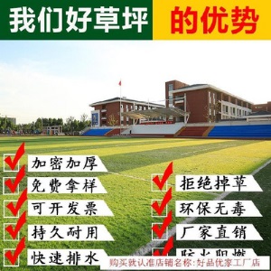 草坪地毯垫子幼儿园绿草地跑道胶水草坪垫塑料草遮挡道具草坪花草