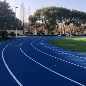 室外EPDM塑胶跑道颗粒田径橡胶地垫 篮球场羽毛球场网球场动地胶