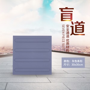 园林绿化水泥砖模具西班牙地面砖人行跑道盲道广场预制砖塑料模具