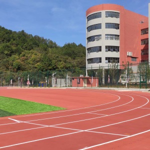 厂家13mm预制型塑胶跑道面层材料学校橡胶弹性环保塑胶跑道施工