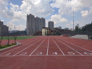 厂家13mm新国标预制型橡胶跑道塑胶跑道卷材跑道成品塑胶跑道卷材