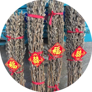 园艺 白芝麻杆梗秸秆 乡村喜事喜庆搬家乔迁IY装饰拍摄芝麻杆子