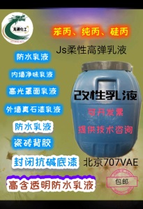 苯丙乳液 防水涂料 硅丙纯丙 外墙真石漆 高光罩面漆 瓷砖胶 包邮