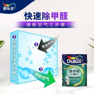 多乐士(Dulux)森呼吸淳零抗菌抗苯抗甲醛全效墙面漆 乳胶漆油漆涂料15L A8217+A931