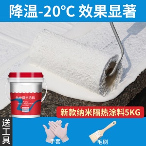 屋顶防水隔热漆顶楼楼顶防晒涂料 彩钢铁皮防水纳米材料外墙耐高温油漆涂料 【5KG】