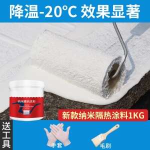 屋顶防水隔热漆顶楼楼顶防晒涂料 彩钢铁皮防水纳米材料外墙耐高温油漆涂料 【5KG】