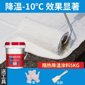 屋顶防水隔热漆顶楼楼顶防晒涂料 彩钢铁皮防水纳米材料外墙耐高温油漆涂料 【5KG】