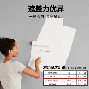 嘉宝莉（carpoly) 内墙墙面漆乳胶漆净味耐擦洗水性油漆涂料