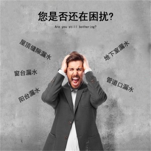 维修大师 防水涂料聚氨酯屋顶卫生间基面裂缝防水补漏外墙防水材料