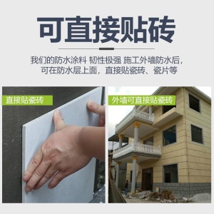 JS鱼池防水涂料防漏水泥胶 K11聚合物堵王屋顶天沟卫生间补漏材料