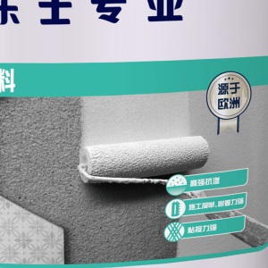 多乐士（Dulux）防水涂料卫生间防水材料 厨房阳台防水补漏胶浆 专业防水宝 通用型浆料
