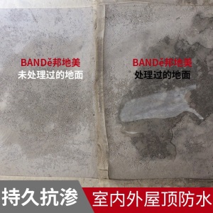 邦地美（BANDE）刚性防水剂 防水涂料 屋顶外墙防水补漏材料 卫生间阳台室外透明防水  防潮防霉