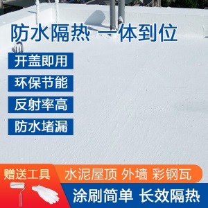屋顶高反射隔热涂料楼顶防水降温彩钢瓦铁皮房顶环保外墙漆 白色 20Kg 18L以上