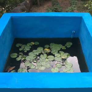 耐博仕 （出口品牌）k11防水涂料厨房卫生间阳台水池鱼池游泳池防水胶蓝灰浆水池环保型 内墙防水材料