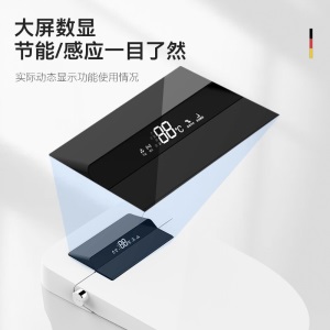 德国博致（BOZO）智能马桶一体机全自动冲水AI声控智能坐便器多功能即热式冲洗烘干自动翻盖座便器 【8025A-标准版】全能水洗