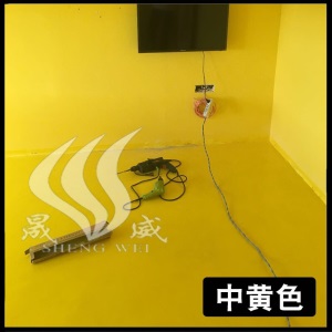 晟威（SHENGWEI）水性环氧树脂地坪漆地面油漆水泥地家用自流平地板漆防水耐磨车库地面漆 标准绿