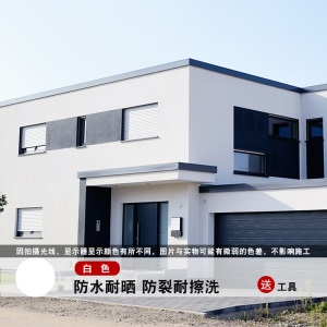 帝致外墙漆防水防晒油漆室外耐久卫生间墙面乳胶漆白彩色外墙涂料