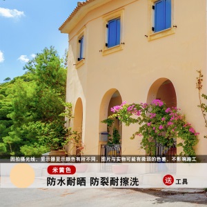 帝致外墙漆防水防晒油漆室外耐久卫生间墙面乳胶漆白彩色外墙涂料