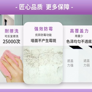 多乐士(Dulux)致悦抗甲醛五合一净味面漆无添加通用底漆 乳胶漆油漆涂料 A744+A749