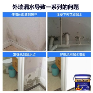 德邦仕 防水涂料透明防水胶 卫生间免砸砖 家用补漏 屋顶外墙防水材料