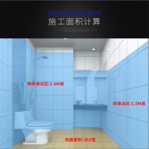 维修大师 JS聚合物水泥基防水涂料屋顶防水材料卫生间屋顶外墙阳台水池防水材料 10kg