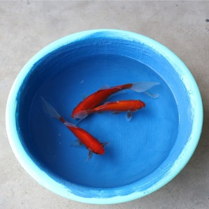 耐博仕 （出口品牌）k11防水涂料厨房卫生间阳台水池鱼池游泳池防水胶蓝灰浆水池环保型 内墙防水材料
