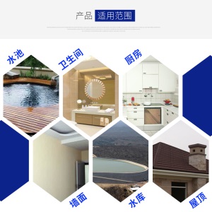 维修大师 JS聚合物水泥基防水涂料屋顶防水材料卫生间屋顶外墙阳台水池防水材料 5kg