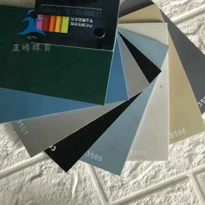 厂家批发专业舞蹈地胶 PVC运动地板 高档 舞蹈室 瑜伽馆 耐磨防滑