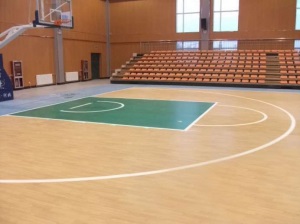 运动地板 PVC运动地胶 室内篮球场4.5mm 浅枫木板纹