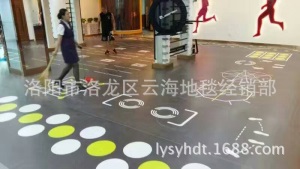 健身房360定制图案功能地胶 弹性防滑地板 PVC运动地板