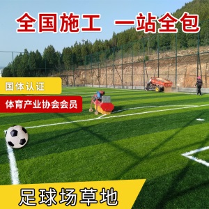 人造草坪足球场5人制足球场七人制足球场11人制足球场新国标
