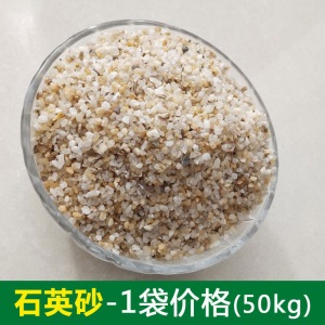 足球场草坪人造草皮运动场仿真草坪免填充足球场人工草坪包工包料