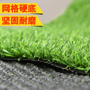 乐美君 仿真草皮墙人工草坪地毯垫子假草绿色假草坪人造塑料草坪装饰仿草学校幼儿园彩虹跑道地面装饰