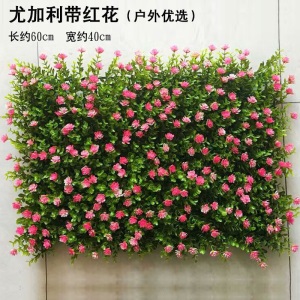 乐美君 仿真植物墙草皮墙背景墙绿植墙面装饰绿植假绿化草坪阳台装饰壁挂