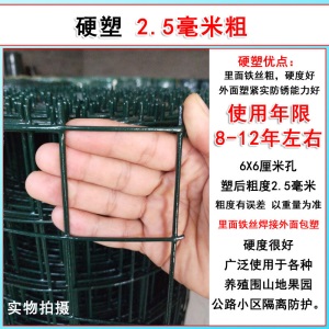 加硬铁丝网围栏养鸡网格栅栏家用钢丝网养殖护栏网围墙加粗户外 青色