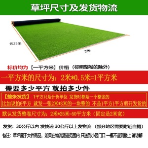 金之春（Jinzhichun） 仿真草坪地毯塑料假草皮 绿植人造草坪阳台户外人工草坪幼儿园假草坪 30mm春草加密加厚（仿生款/大机生产）1平方