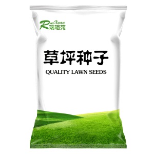 一播大地 进口草坪种四季青种子四季常青低矮 高羊茅黑麦草果岭草别墅庭院草种少修剪耐寒护坡草籽