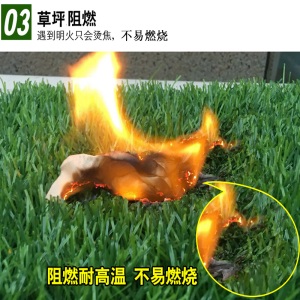 夺秀 人造草坪地毯 仿真草坪绿植假草坪 楼顶阳台户外别墅塑料人工草坪垫子加密加厚幼儿园草坪假草皮 【新国标环保】2厘米高档网格春草/平方