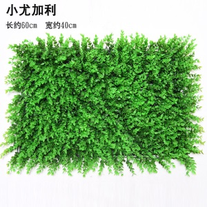 乐美君 仿真植物墙草皮墙背景墙绿植墙面装饰绿植假绿化草坪阳台装饰壁挂