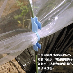大棚阳台菜园保温棚蔬菜植物保暖防寒家庭户外室外用种植防鸟 宽75cm*长4.2m 1套