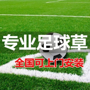 顺麦 仿真草坪人工草坪幼儿园楼顶室外户外休闲绿色人造草坪假草坪地毯