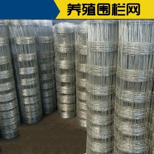 热镀锌钢丝网铁丝网养羊养牛养猪围栏养殖网防护网隔离围网牛栏网 1.2米高 25厘米孔  50米长