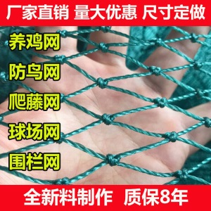 家禽养殖网养鸡网尼龙网拦鸡围网防鸟网护栏网球场网爬藤网瓜蒌爬藤网百香果爬藤网