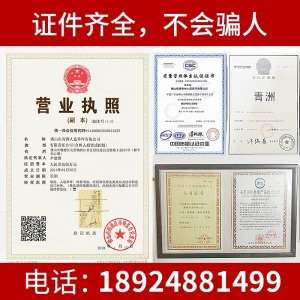 青洲 仿真草坪 超高密度春草隔热自动排水 幼儿园人造草坪 天台阳台户外景观装饰地毯