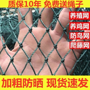 芝麻街园艺100米家禽养殖网养鸡网防鸟网尼龙网养鸡栅栏围栏网球场植物爬藤网天网