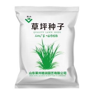 美外 草坪种子四季青狗牙根草籽猎狗五号剪股颖庭院免修剪耐寒草坪草绿化