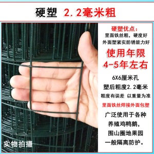 加硬铁丝网围栏养鸡网格栅栏家用钢丝网养殖护栏网围墙加粗户外 青色