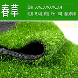 金之春（Jinzhichun） 仿真草坪地毯塑料假草皮 绿植人造草坪阳台户外人工草坪幼儿园假草坪 30mm春草加密加厚（仿生款/大机生产）1平方
