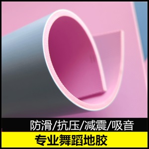 宸芃 专业舞蹈地胶舞蹈房用防水防滑幼儿园地垫舞蹈教室商用塑胶地板